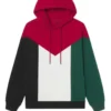 Palestine Flag Hoodie 1