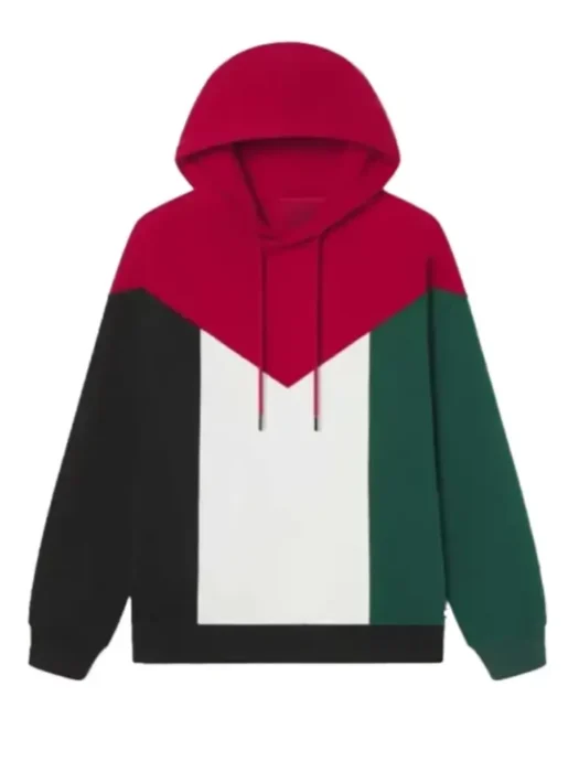 Palestine Flag Hoodie 1