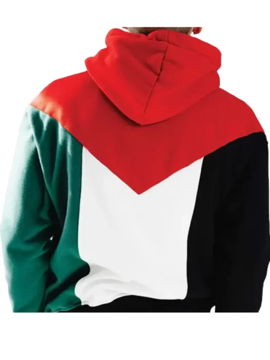 Palestine Hoodie